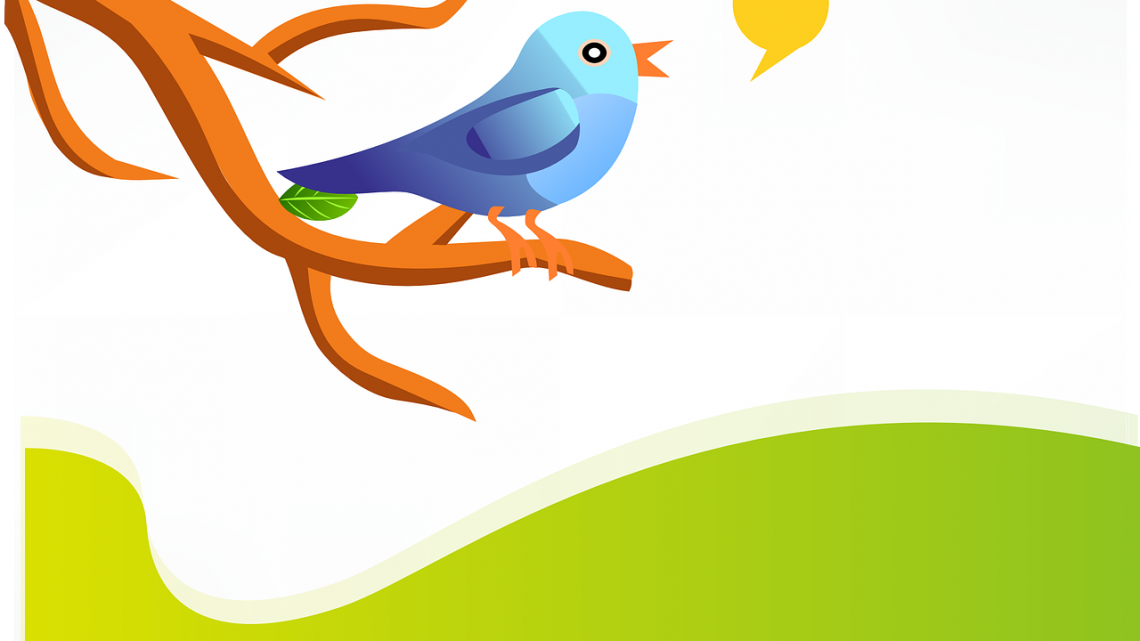 la lunga marcia di Twitter